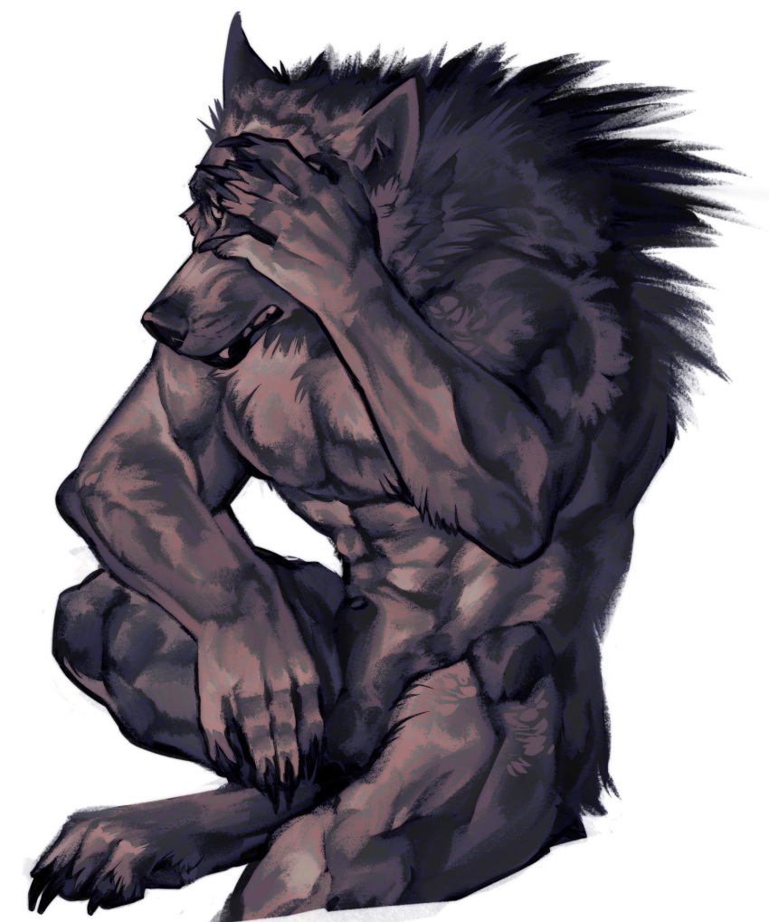 abs animal_genitalia anthro balls canid canine canis genitals hi_res male mammal muscular muscular_anthro muscular_male nmvsolidus nude pecs sheath simple_background solo were werecanid werecanine werewolf white_background wolf