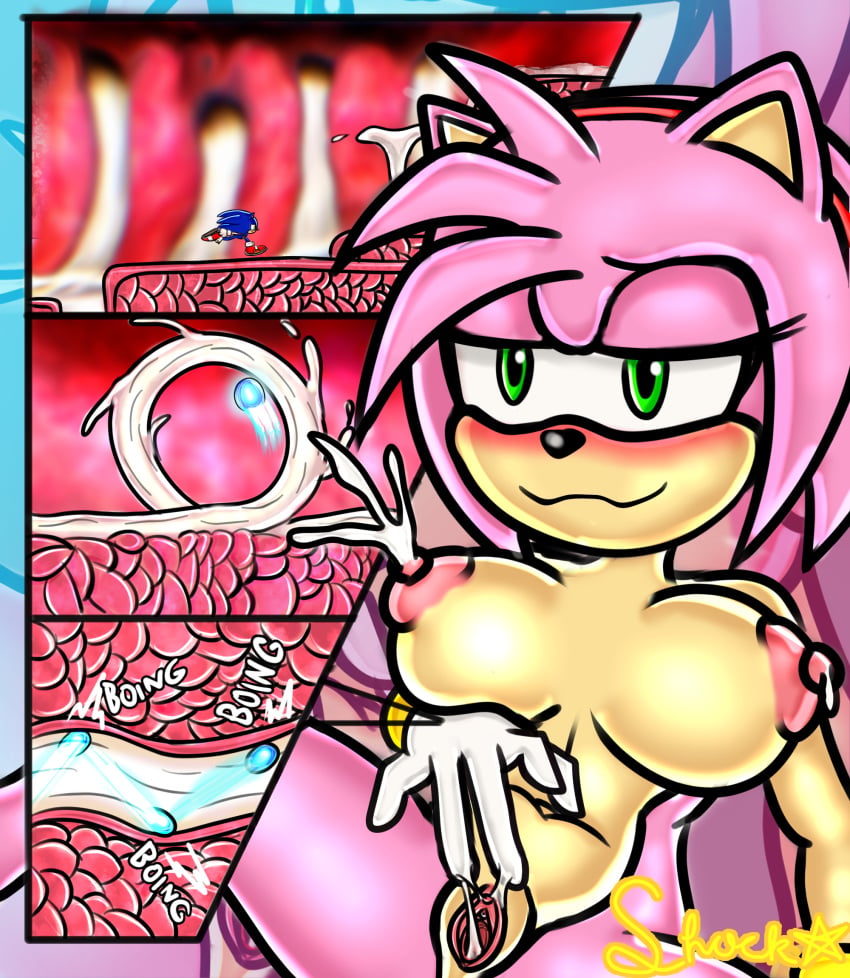 Amy Rose (Sonic (Series)) Rule 34 Image