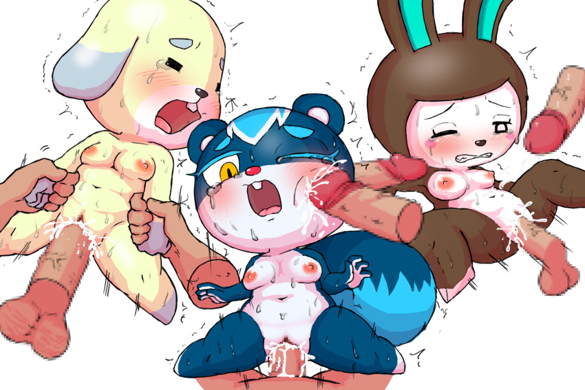 2020 3:2 4_fingers 5_fingers animal_crossing anthro balls black_nose blue_body blue_fur blush bodily_fluids bodily_fluids_in_pussy breasts brown_body brown_fur canid canine canis carmen_(animal_crossing) censored clenched_teeth cowgirl_position crying cum cum_inside cum_on_breasts cum_on_face cumshot daisy_(animal_crossing) davirook disembodied_penis domestic_dog ejaculation female fingers fur genital_fluids genitals group group_sex half-closed_eyes hand_on_wrist hi_res human lagomorph leporid lying male male/female mammal narrowed_eyes nintendo nude on_back on_bottom on_top one_eye_closed open_mouth penetration penile penile_penetration penis penis_in_pussy penis_on_cheek pressing_against_cheek pussy questionable_consent rabbit rape restrained rodent sciurid sex simple_background small_breasts squirrel_tail sweat tasha_(animal_crossing) tears teeth threesome tongue vaginal_penetration video_games white_body white_fur