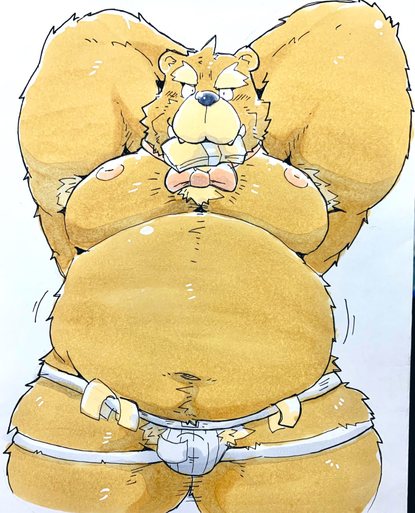 2021 anthro belly bow_tie brown_body brown_fur bulge clothing fur gay hi_res kemono male mammal money moobs navel nipples overweight overweight_anthro overweight_male solo stripper suishou0602 underwear ursid