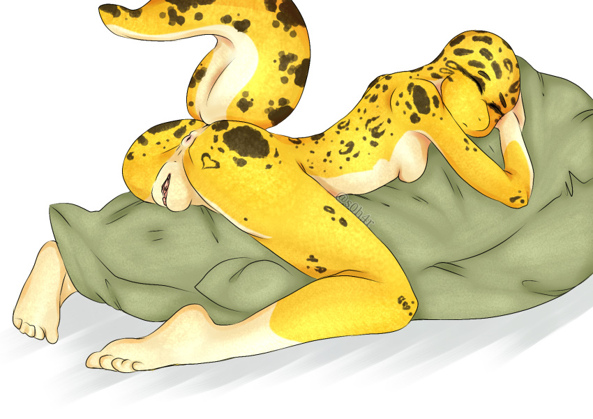 anthro anus female gecko genitals grecko hi_res lizard miphassl nude pillow pillow_hug presenting presenting_anus presenting_pussy pussy reptile scalie sleeping solo spread_legs spreading