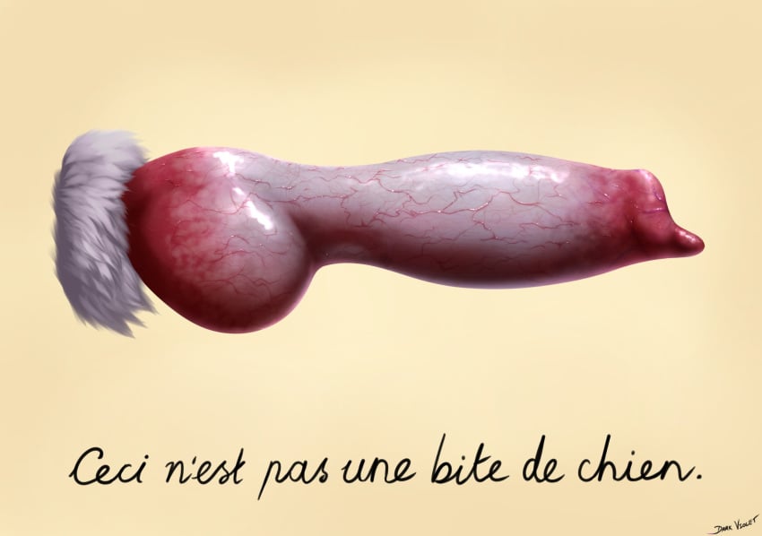 ambiguous_form anatomically_correct animal_genitalia animal_penis canid canine canine_penis ceci_n'est_pas_une_pipe dark_violet detailed detailed_fur detailed_penis disembodied_penis erection fine_art_parody french_text fur furry genital_focus genitals glistening glistening_genitalia glistening_penis grey_body grey_fur hi_res knot male mammal penis penis_focus public_domain red_penis shaded sheath signature simple_background solo text the_treachery_of_images translated vein veiny_penis yellow_background