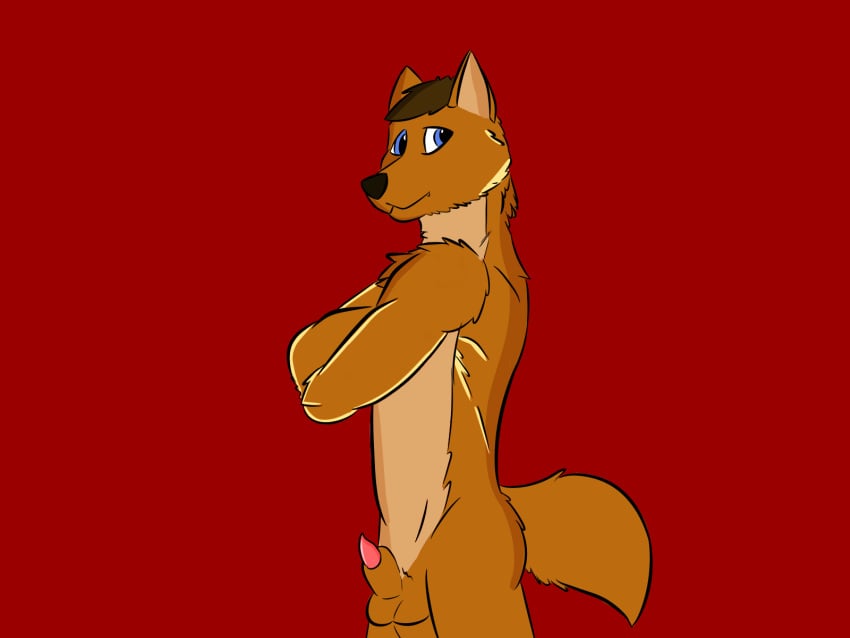 4:3 animal_genitalia anthro blue_eyes brown_hair canid canine fox genitals hair hi_res male mammal nude penis penis_tip red_background sheath simple_background slim solo tuft zee