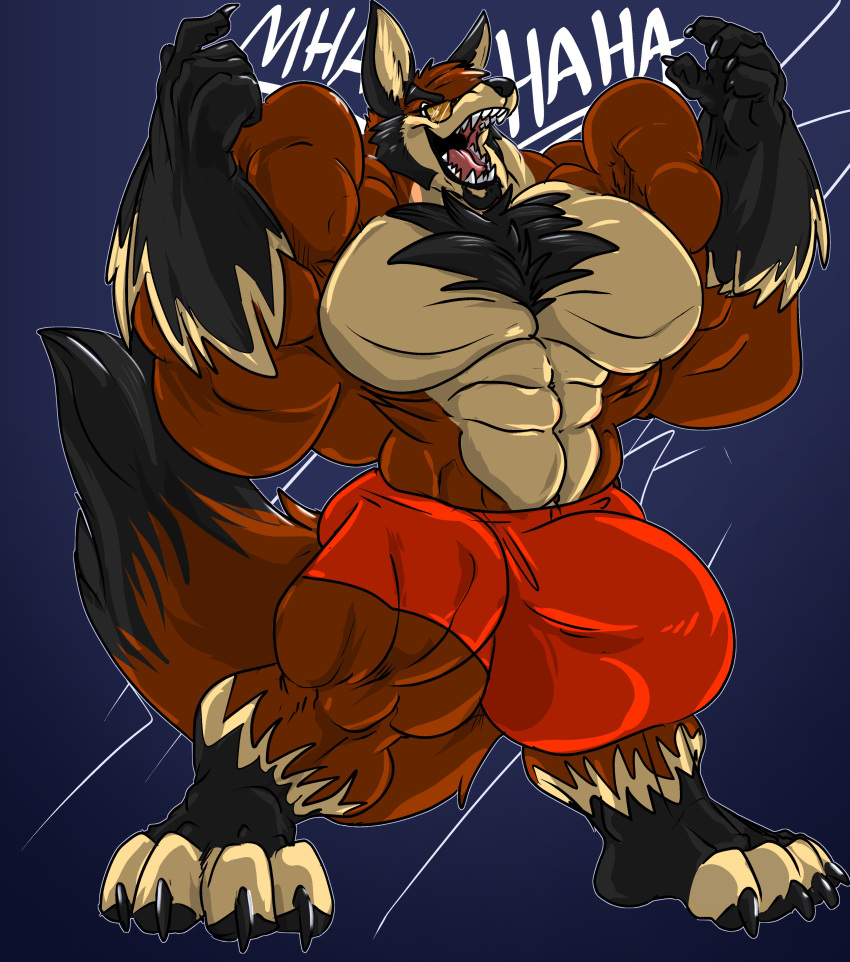 2018 4_toes 5_fingers absurd_res anthro big_bulge big_muscles body_hair boxers_(clothing) bulge canid canine chest_hair clothed clothing eyewear feet fierglief fingers fox fur hi_res huge_bulge huge_muscles hyper hyper_bulge hyper_muscles laugh male mammal multicolored_body multicolored_fur muscular muscular_anthro muscular_male open_mouth plantigrade sharp_teeth solo standing sunglasses teeth text toes underwear underwear_only