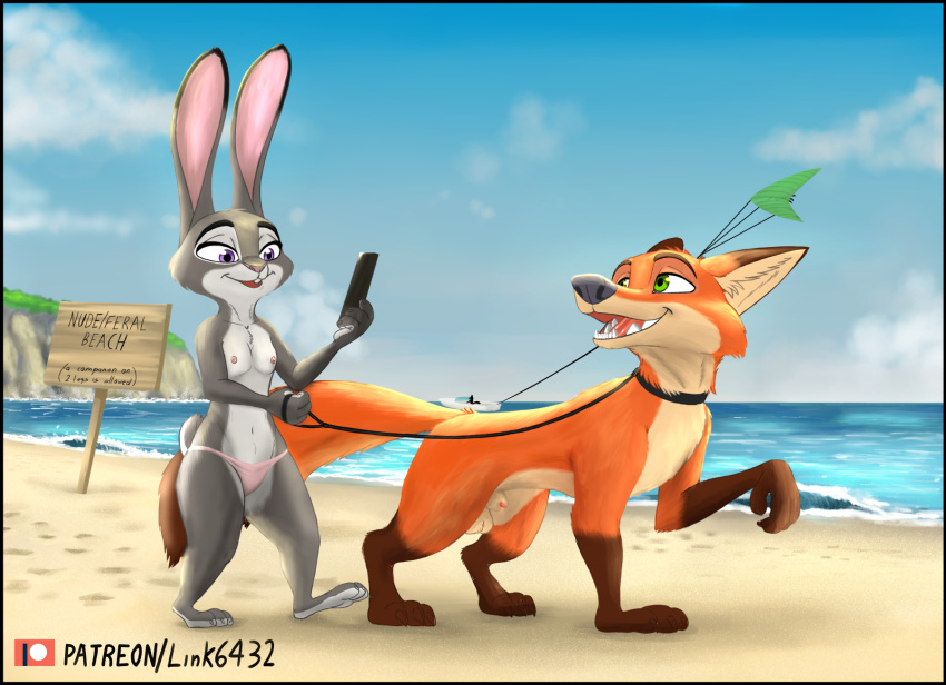 animal_genitalia anthro balls beach bikini bikini_bottom breasts canid canine collar detailed_background dipstick_ears dipstick_tail disney duo female feral feralized flat_chest fox fur genitals gloves_(marking) green_eyes hi_res holding_leash holding_object inner_ear_fluff judy_hopps lagomorph leash leg_markings leporid link6432 looking_back male mammal markings multicolored_body multicolored_ears multicolored_fur multicolored_tail navel nick_wilde nipples nude nude_beach open_mouth open_smile outside penis purple_eyes rabbit seaside sheath sign small_breasts smile socks_(marking) swimsuit swimwear text topless tuft two_tone_body two_tone_fur zootopia