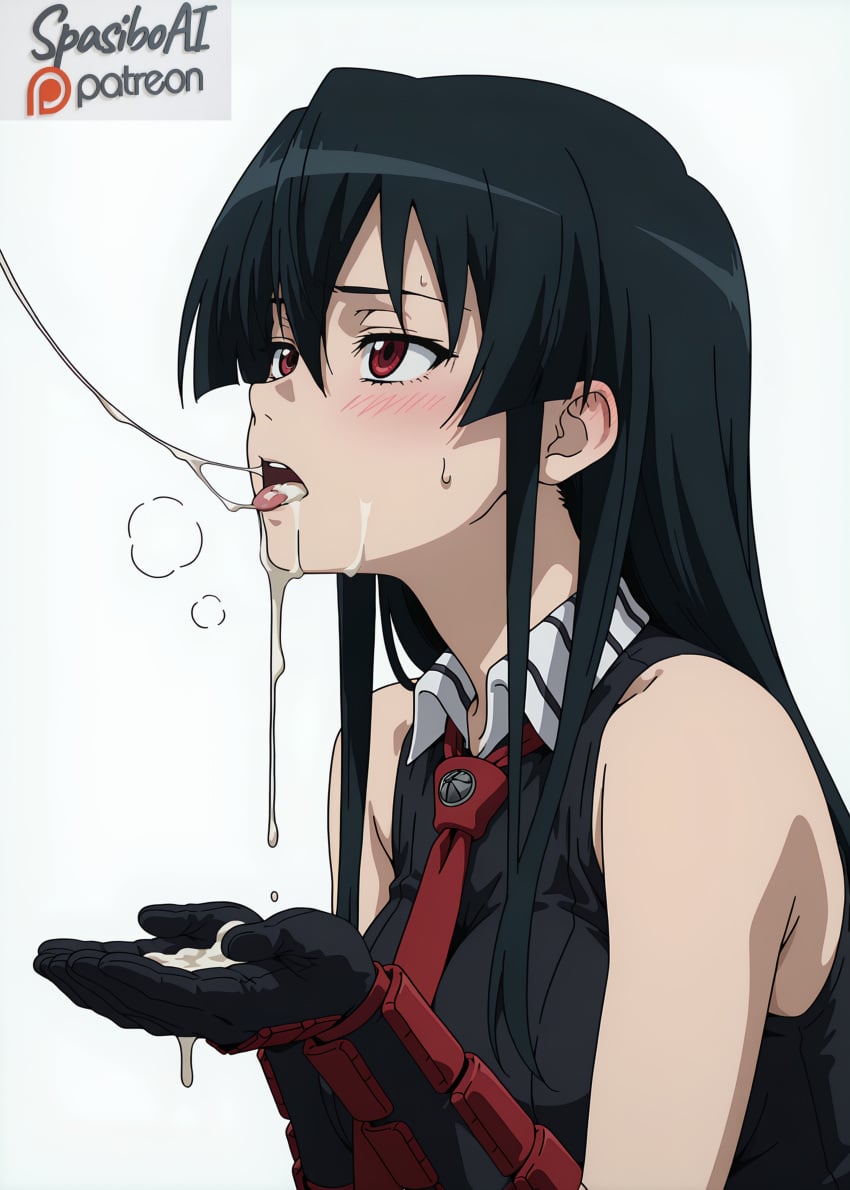 Akame (Akame Ga Kill!) Rule 34 Image