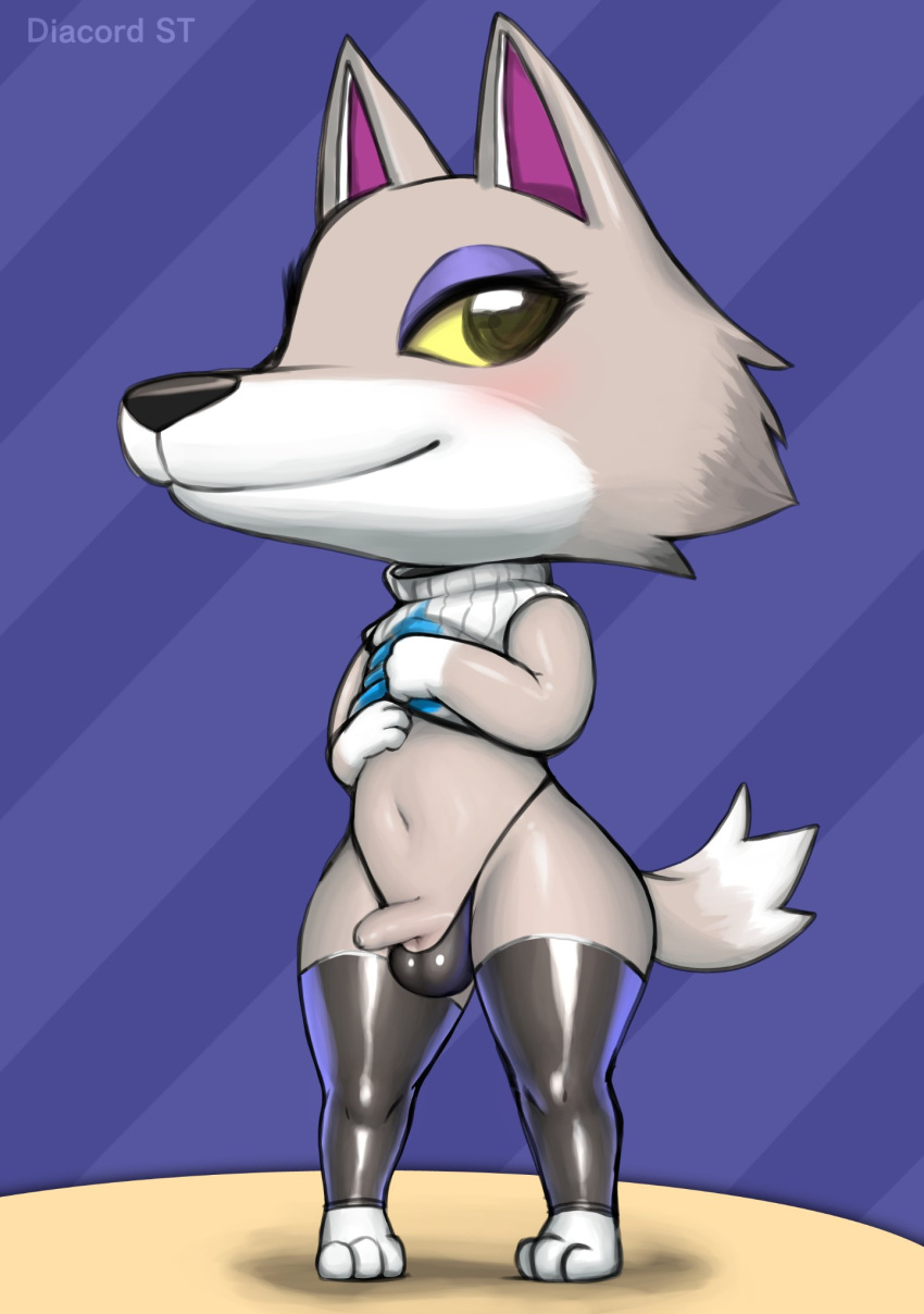 animal_crossing anthro balls balls_in_panties blush diacordst fang_(animal_crossing) fur furry furry_only girly looking_at_viewer male male_only nintendo no_humans partially_clothed penis shiny_clothes shirt_lift tagme tail thick_thighs thighhighs thong tiny_penis wolf