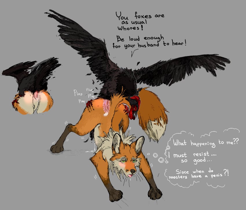 Gallus (Genus) Rule 34 Image