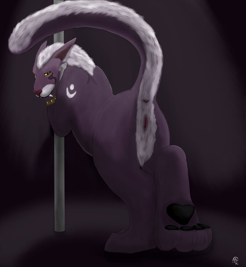 anus ass dancing digital_drawing_(artwork) digital_media_(artwork) domestic_cat druid_(feral) elisanna feet felid feline felis female feral feral_druid fur genitals hair hi_res hindpaw looking_at_viewer looking_back mammal night_elf_(feral) pantherine pawpads paws pole pole_dancing presenting presenting_hindquarters presenting_vulva raised_tail rear_view simple_background smile solo stripper stripper_pole tail tellico toes vulva white_body white_fur