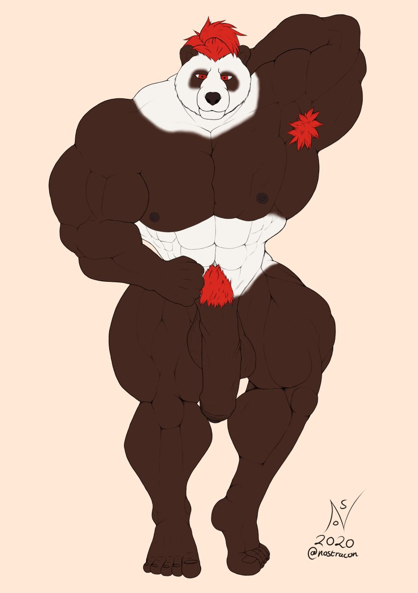 absurd_res anthro balls barefoot big_balls black_body black_fur foreskin fur genitals giant_panda hair hi_res huge_balls male mammal muscular muscular_anthro muscular_male nostracon penis red_eyes red_hair simple_background solo ursid vein white_body white_fur