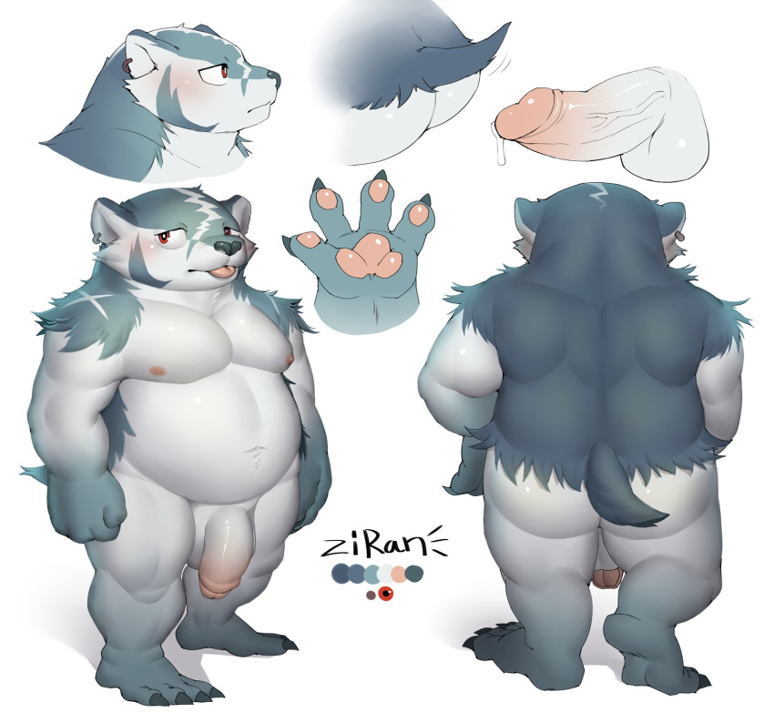 1boy 2021 anthro ass badger balls belly big_balls big_butt blep bodily_fluids foreskin genital_fluids genitals hi_res humanoid_genitalia humanoid_penis male male_only mammal model_sheet mustelid musteline nipples partially_retracted_foreskin pawpads pecs penis precum rear_view simple_background slightly_chubby solo solo_male tongue tongue_out uncut white_background zi_ran ziran_(character)