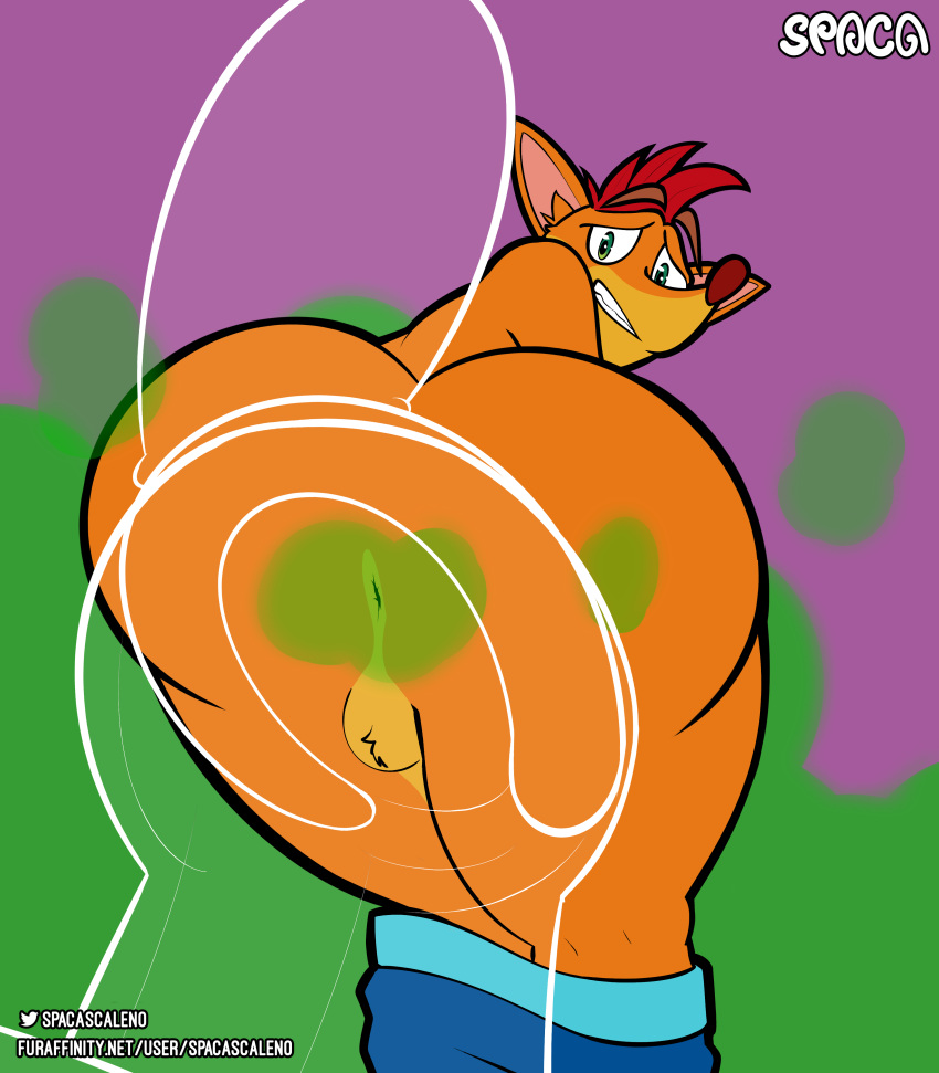 1boy absurd_res activision anus ass balls bathroom big_butt crash_(series) crash_bandicoot digital_media_(artwork) embarrassed fart fur genitals hair hi_res looking_at_viewer male male_only muscle_butt simple_background solo spaca text thick_thighs toilet video_games wide_hips