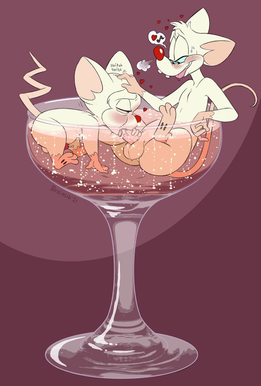 2021 alcohol all_fours animaniacs animaniacs_(2020) anthro balls beverage blue_sclera blush bodily_fluids brainsister breath champagne champagne_glass drooling duo erection fellatio fur genital_fluids genitals half-closed_eyes handjob handjob_while_penetrated head_scratch heart hi_res male male/male mammal mouse murid murine musical_note narrowed_eyes nude oral pawpads penile penis pink_sclera pinky pinky_(warner_brothers) pinky_and_the_brain precum rodent saliva scritching sex sitting size_difference slightly_chubby smile spreading sweat the_brain tongue tongue_out warner_bros warner_brothers what white_body white_fur