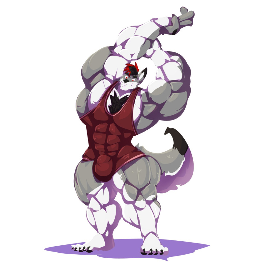 1boy 2020 5_toes anthro big_bulge bobert body_hair bulge canid canine chest_hair countershading feet flexing hi_res huge_bulge huge_muscle looking_at_viewer male mammal plantigrade simple_background smile solo solo_male standing swaggy toes white_background white_countershading wrestling_singlet