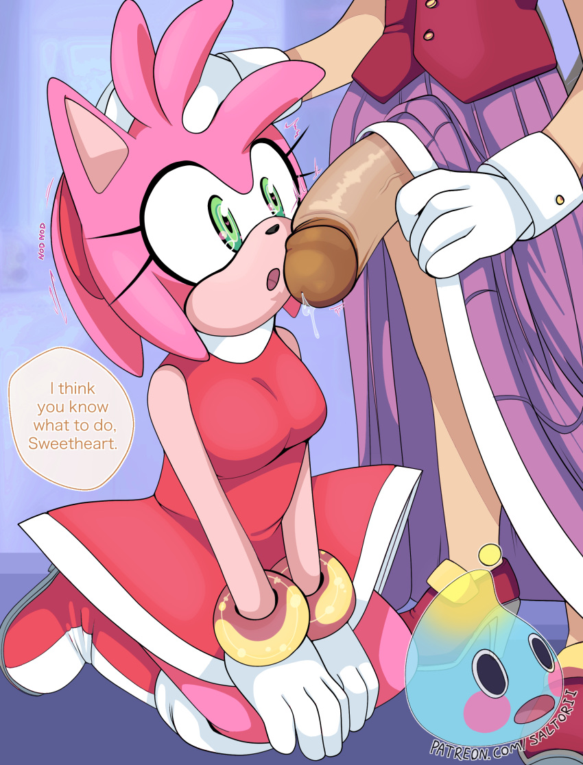 1futa 1girl1futa 1girls amy_rose big_penis clothed dress english_text female furry futa_on_female futanari gloves green_eyes hands_on_head hi_res highres imminent_oral imminent_sex kneeling large_penis looking_at_penis older_futanari penis pink_fur pink_hair precum saltorii sega shoes sonic_(series) text vanilla_the_rabbit watermark younger_female