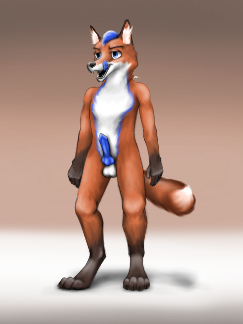 anthro blue_eyes blue_penis blue_tongue brown_body canid canine fox fur genitals gloves_(marking) hi_res inner_ear_fluff knot licking licking_lips male mammal markings open_mouth penis simple_background solo standing tongue tongue_out tuft white_body white_fur zerohours