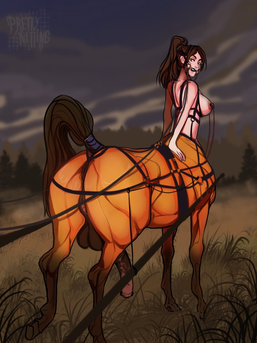 animal_genitalia animal_penis balls big_breasts bondage bound breasts bridle centaur digital_media_(artwork) duo equid equid_taur equine equine_genitalia equine_penis equine_taur european_mythology flaccid genitals georgia_coverette greek_mythology hair harness herm hi_res hooves humanoid_taur intersex mammal mammal_taur mythological_creature mythological_equine mythology nipples nude penis prettynetting pussy reins simple_background solo tail taur