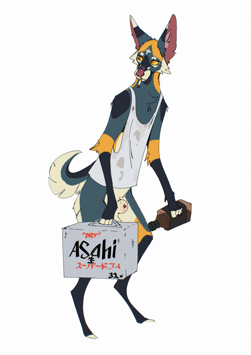 Asahi Super Dry Rule 34 Image
