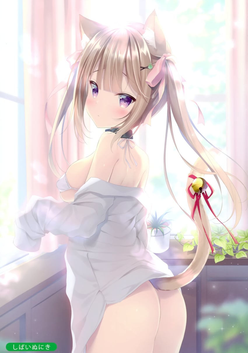 1girl ass bikini bikini_top blush bottomless breasts brown_hair cat_ears cat_girl cat_tail catgirl collar hair_ornament hair_ribbon highres large_breasts long_hair melonbooks micro_bikini original shibainu_niki shirt sideboob straight_hair tied_hair twintails