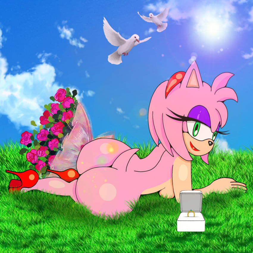 Amy Rose (Sega) Rule 34 Image