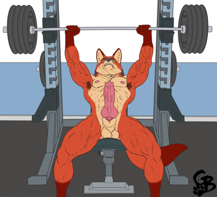 abs animal_genitalia armpit_hair biceps big_penis bodily_fluids body_hair canid canine disney erection exercise fox genitals goldeyboi gym male male_only mammal muscular muscular_legs muscular_male nick_wilde nude pecs penis solo sweat veiny_muscles weightlifting weights workout zootopia