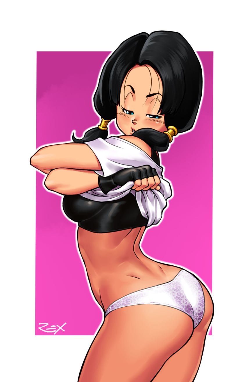 Videl (Dragon Ball) Rule 34 Image