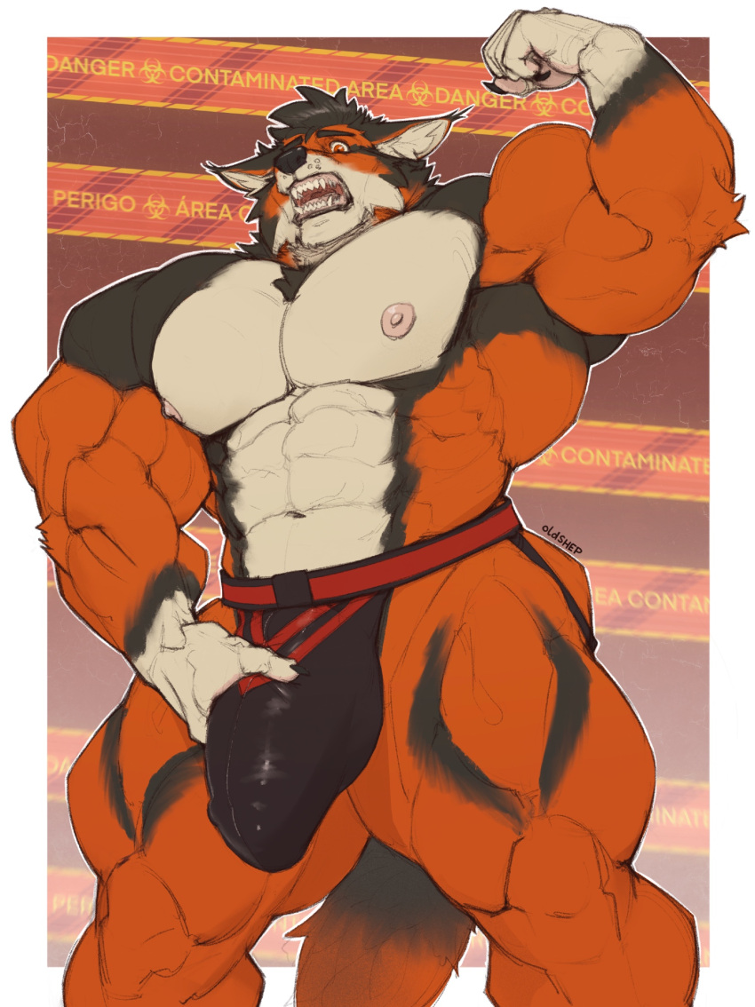 5_fingers abs anthro areola arm_tuft armbands_(marking) bara barazoku biceps big_bulge big_muscles big_pecs big_penis biped black_body black_claws black_clothing black_eyebrows black_finger_claws black_fur black_hair black_jockstrap black_nose black_underwear border broad_shoulders bulge bulge_grab canid canine canis chest_tuft claws clothed clothed_anthro clothed_male clothing countershade_face countershade_fur countershade_neck countershade_torso countershading deltoids detailed_bulge digital_drawing_(artwork) digital_media_(artwork) ear_tuft elbow_tuft english_text eyebrows fangs felid feline finger_claws fingers flexing flexing_bicep front_view fur furry genital_outline gloves_(marking) gums hair hand_on_bulge hand_on_own_bulge hi_res huge_bulge huge_muscles humanoid_hands hybrid inner_ear_fluff jockstrap jockstrap_only latissimus_dorsi lynx male male_anthro mammal manly markings multicolored_body multicolored_clothing multicolored_fur multicolored_jockstrap multicolored_underwear muscular muscular_anthro muscular_arms muscular_male muscular_thighs navel nipples oldshep open_mouth orange_body orange_fur pecs penis_outline pink_areola pink_nipples pink_tongue portrait quads red_clothing red_eyes red_jockstrap red_underwear serratus sharp_teeth signature solo standing tail teeth text text_background three-quarter_portrait three-quarter_view tongue topless topless_anthro topless_male triceps tuft two_tone_clothing two_tone_jockstrap two_tone_underwear underwear underwear_only whisker_spots white_body white_border white_countershading white_fur white_hands white_inner_ear white_inner_ear_fluff wolf