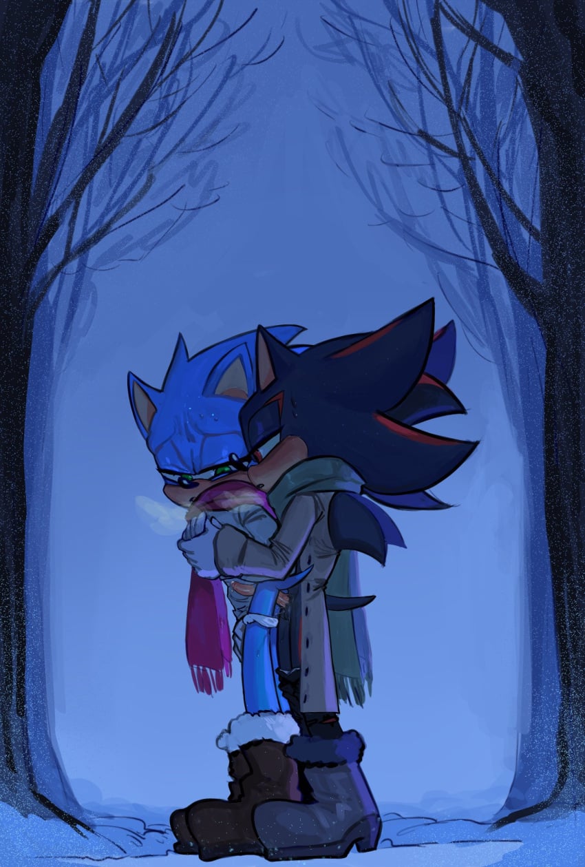 Shadow The Hedgehog (Sonic (Series)) Rule 34 Image