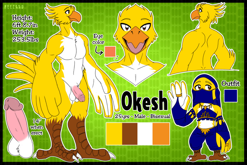 absurd_res anthro anthro_only avian balls beak big_penis biped bird breath_of_the_wild digitigrade fan_character feather_hands feathers genitals gerudo_outfit height hi_res humanoid_genitalia humanoid_penis male male_only muscular muscular_male nintendo okesh_the_dancer orange_eyes penis reezard rito solo standing tall text the_legend_of_zelda yellow_body