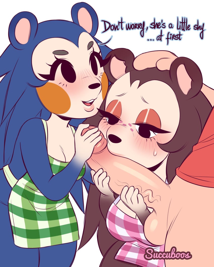 1boy 2020 2girls animal_crossing animal_crossing_boy anthro artist_name black_eyes blue_body blue_hair blush brown_body brown_hair dialogue english_text eulipotyphlan fellatio female female_focus hand_on_head hedgehog hi_res human human_on_anthro kissing kissing_penis light-skinned_male light_skin mabel_able male narrowed_eyes nintendo oral penis penis_grab penis_worship sable_able succuboos trio villager_(animal_crossing) white_background