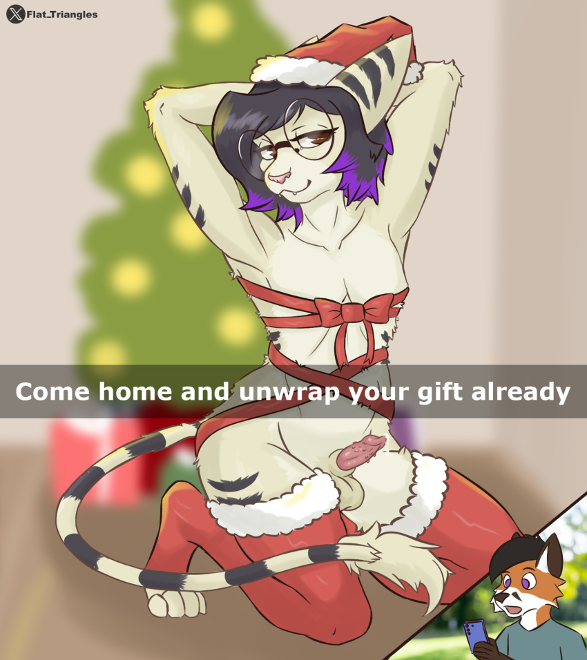 Christmas Rule 34 Image