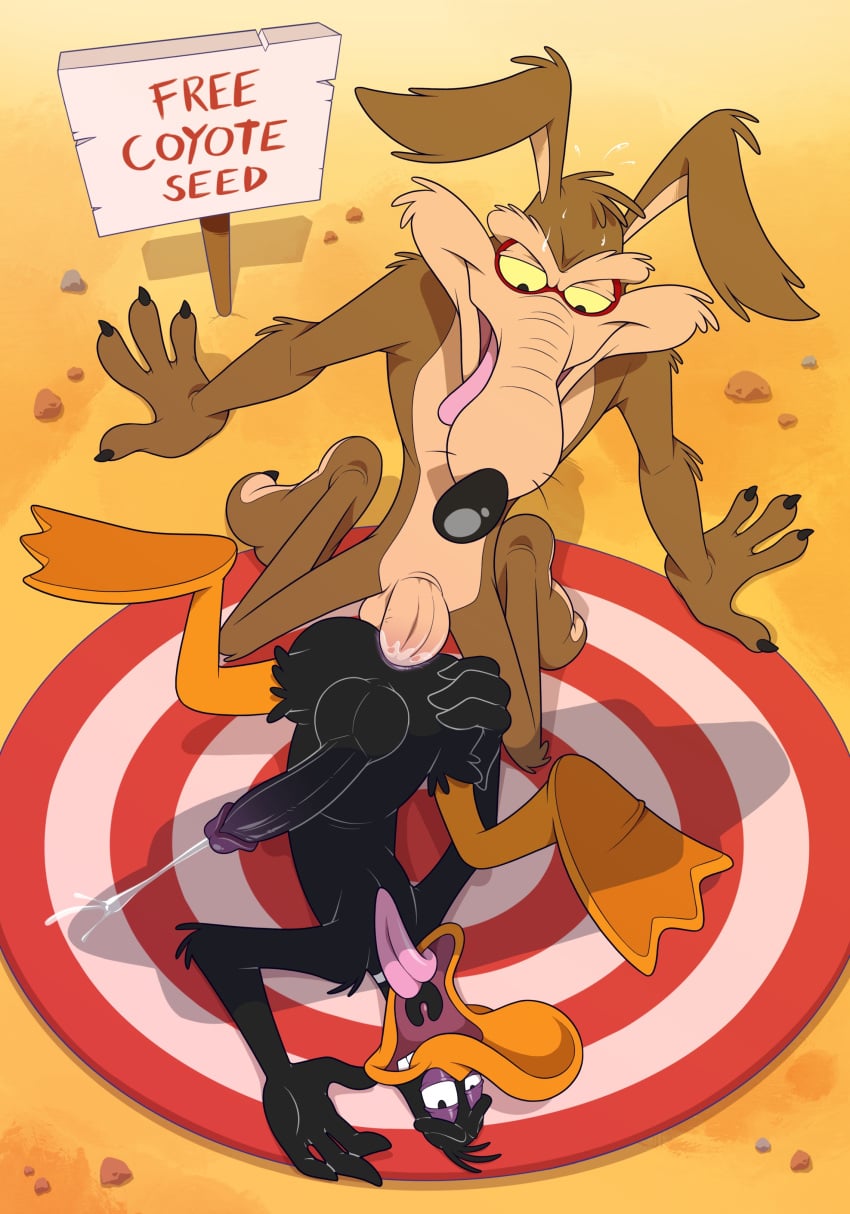 Daffy Duck (Looney Tunes) Rule 34 Image