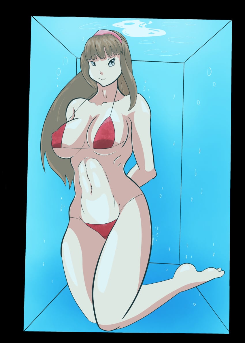 Hitomi (Doa) Rule 34 Image