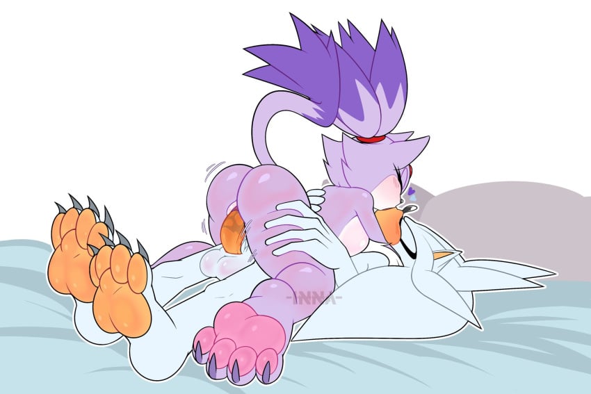 Blaze The Cat (Sega) Rule 34 Image