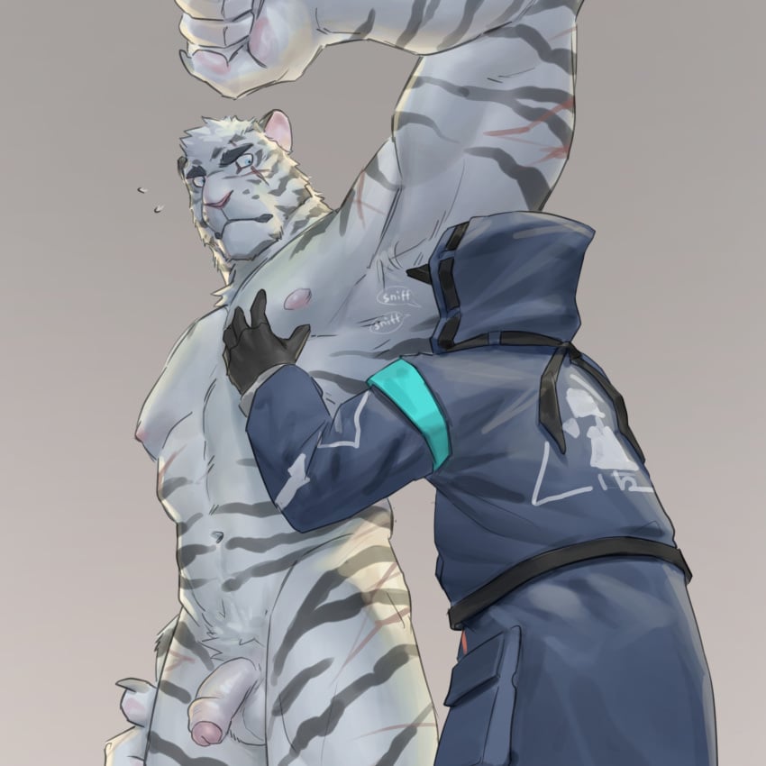 Doctor (Arknights) Rule 34 Image