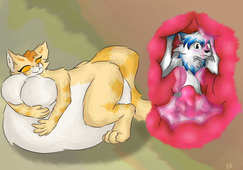 acacia acacia_dune anthro belly belly_hug big_belly big_breasts breasts canid canine closed_eyes domestic_cat duo felid feline felis female fox fur hybrid hyper hyper_belly male mammal oral_vore orange_body orange_fur sand_cat vore white_belly