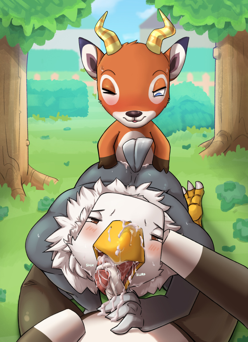 Apollo (Animal Crossing) Rule 34 Image