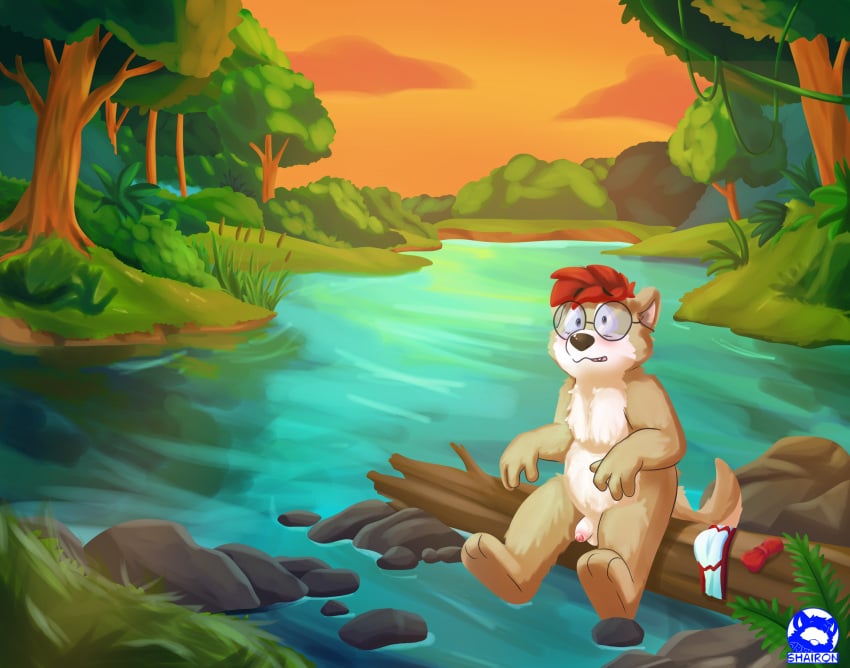 Aka The Otter Rule 34 Image