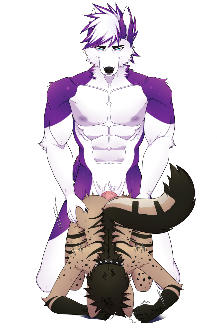 Duffy (Duffy) Rule 34 Image