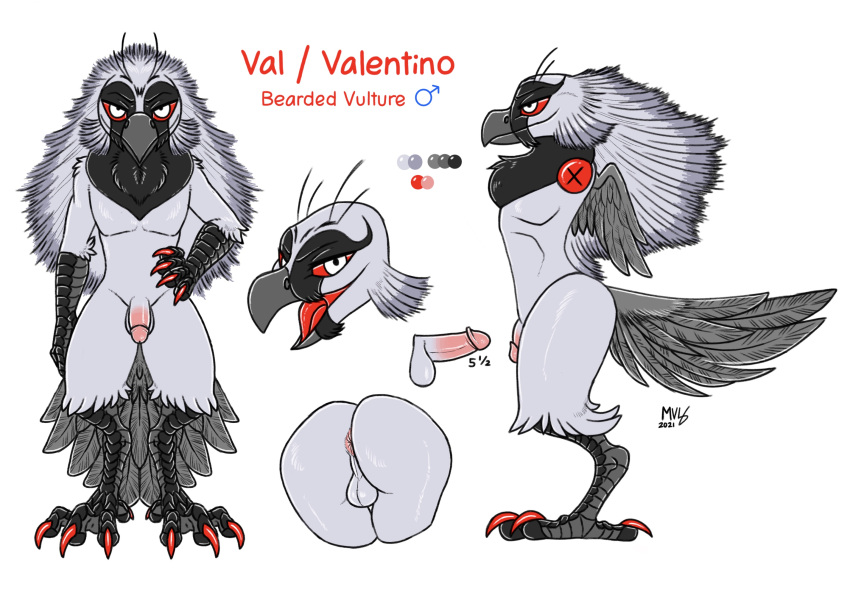 accipitrid accipitriform alphathewerewolf anthro anus ass avian balls beak bearded_vulture bird circumcised claws evil_looking feathers genitals hi_res male model_sheet old_world_vulture penis pink_anus pink_penis purple_body purple_feathers red_eyes reference_image sly solo talons val_(alphathewerewolf) vulture