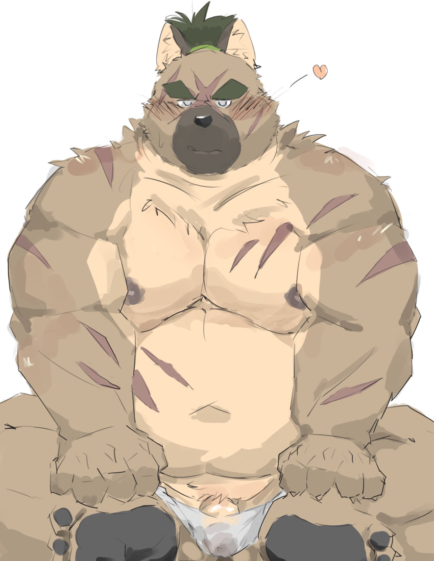 absurd_res anthro asian_clothing belly blush brown_body brown_fur bulge canid canine canis clothing domestic_dog east_asian_clothing flaccid fundoshi fur genitals hi_res japanese_clothing lifewonders male mammal musclegut navel nipples okentya pawpads pecs penis penis_base scar solo tagme tokyo_afterschool_summoners underwear yasuyori