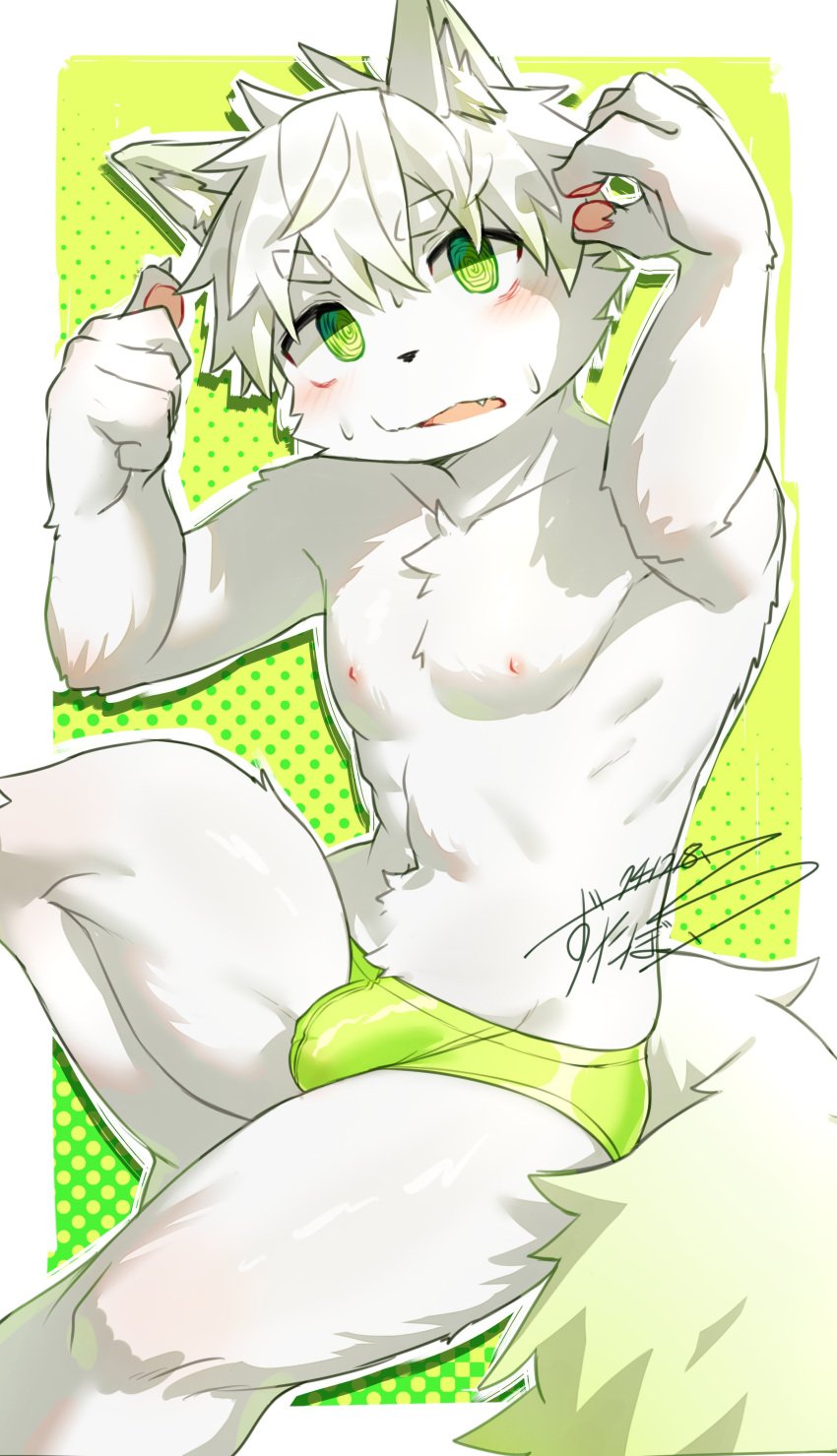 abs absurd_res anthro athletic athletic_male blush bulge canid clothed clothing detailed_bulge fur green_eyes hair hi_res male mammal nipples solo tail underwear underwear_only white_body white_fur zutabo