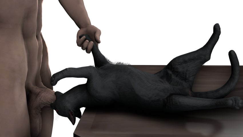 Black Cat (The Evil Within) Rule 34 Image