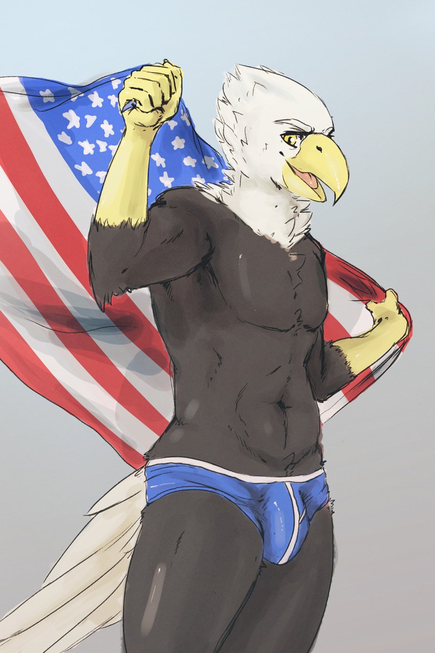 1boy 2014 2:3 5_fingers accipitrid accipitriform american_eagle american_flag anthro athletic athletic_anthro athletic_male avian bald_eagle beak biceps biped bird blue_underwear bottomwear brown_body brown_feathers bulge clothing colored_sketch digital_media_(artwork) dovne eagle feathers fingers flag genital_outline grey_background hi_res holding_flag holding_object looking_at_viewer male male_only multicolored_body multicolored_feathers navel open_beak open_mouth open_smile partially_clothed pecs penis_outline portrait scuted_arms sea_eagle simple_background skimpy smile solo standing tail_feathers thick_thighs three-quarter_portrait three-quarter_view topless underwear white_body white_feathers yellow_beak yellow_eyes