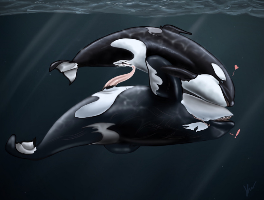 ! Rule 34 Image