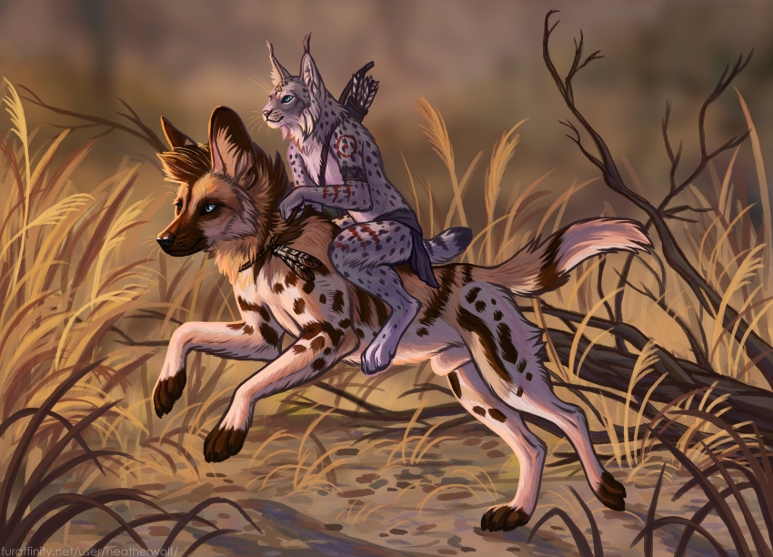 2021 african_wild_dog alli_(brunalli) animal_genitalia anthro arrow biped black_nose blue_eyes bottomwear bow brown_body brown_fur canid canine clothing detailed_background digital_media_(artwork) duo felid feline feral fully_sheathed fur genitals grey_body grey_fur heatherwolf hi_res holding_object humanoid_hands loincloth lynx male mammal markings outside pink_nose quadruped quiver red_markings riding running sheath spots spotted_body spotted_fur synx_the_lynx text url whiskers