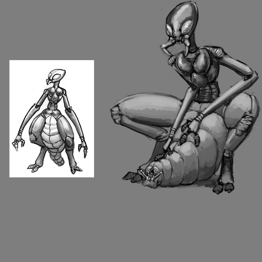 1girls alien arthropod arthropod_abdomen arthropod_abdomen_genitalia arthropod_abdomen_pussy biped bodily_fluids crouching exoskeleton female genital_fluids genitals hi_res insects looking_at_viewer mandibles meandraco monster not_furry nude open_mouth pussy scalie simple_background solo