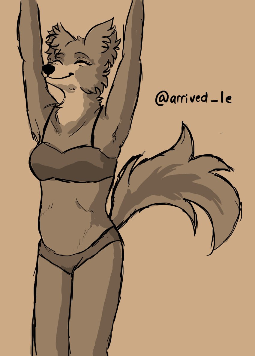 beastars bikini fluffy fluffy_ears fluffy_tail juno juno_(beastars) stretching tail underwear underwear_only