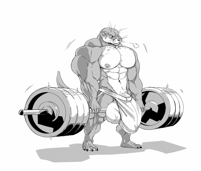 2018 4_toes 5_fingers absurd_dumbbell anthro balls big_balls big_bulge big_penis bulge clothed clothing dumbbell feet fingers genitals hi_res holding_object huge_balls huge_bulge huge_cock huge_muscle hyper hyper_balls hyper_genitalia hyper_penis lifting lutrine male mammal monochrome muscular mustelid nipples otter penis plantigrade simple_background solo stagor55 standing toes underwear underwear_only vein veiny_balls weights white_background