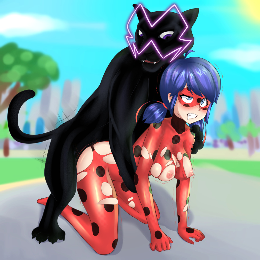 2021 absurd_res animan_(miraculous_ladybug) big_breasts blue_eyes blue_hair blush breasts clothing felid female female_penetrated feral feral_penetrating feral_penetrating_human hair hi_res human human_on_feral human_penetrated interspecies ladybug_(character) male male/female male_penetrating male_penetrating_female mammal marinette_cheng marinette_dupain-cheng miraculous_ladybug nipples penetration redbug222 sex torn_clothing zoophilia